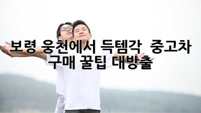 보령 웅천에서 득템각! 😎 중고차 구매 꿀팁 대방출